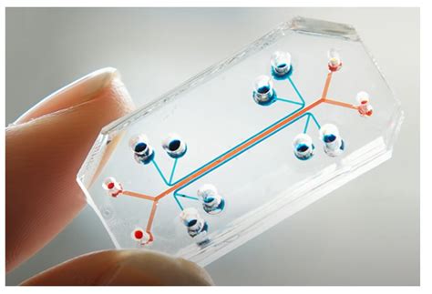 Manifolds Bonded Machined Fluidic Piedmont CMG