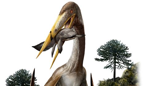 “Unlike Anything Seen Before” – Gigantic Flying Pterosaurs Had Spoked ...