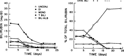 The Clinical Importance Of A Protein Bound Fraction Of Serum Bilirubin