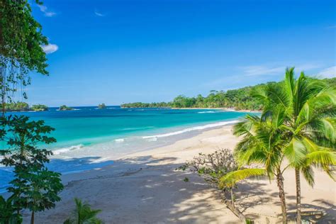 Isla Bocas Del Toro Aguas Cristalinas Del Caribe Paname O