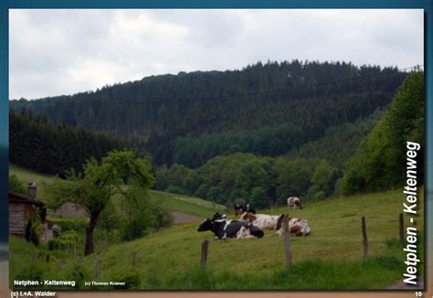 Netphener Keltenweg