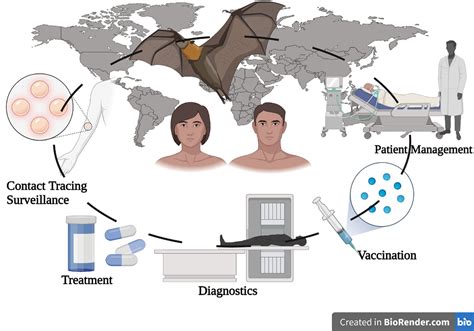 Frontiers Emergence Of Marburg Virus A Global Perspective On Fatal