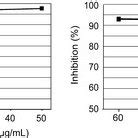 Concentration And Time Dependency Of The Inhibitory Effect Of The