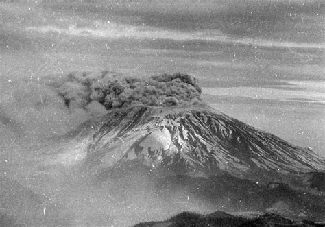 Are Dogs Allowed At Mt St Helens