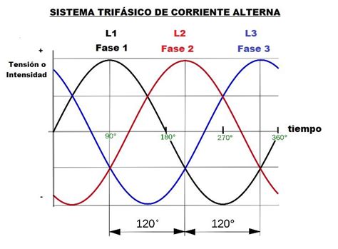 Los Sistemas Trif Sicos