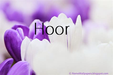 Hoor Name Wallpapers Hoor ~ Name Wallpaper Urdu Name Meaning Name Images Logo Signature