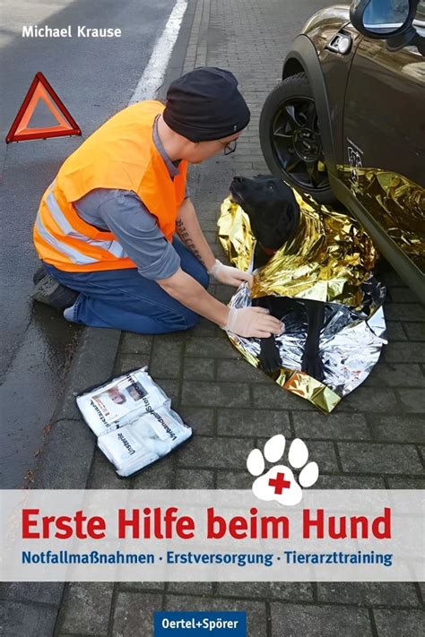 Erste Hilfe Beim Hund Pro Hun De