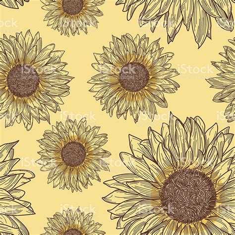 Sunflower Silhouette Vector at Vectorified.com | Collection of ...