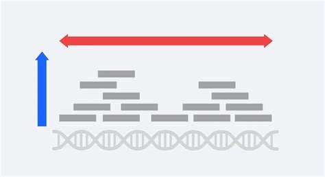 Sequencing Depth Vs Coverage Key Metrics In NGS Explained