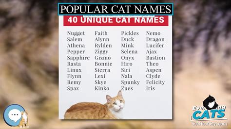 The 100 Most Popular Cat Names Of All Time Atelier Yuwa Ciao Jp