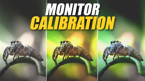 The Quick Easy Way To Calibrate A Monitor For Photos With Precise