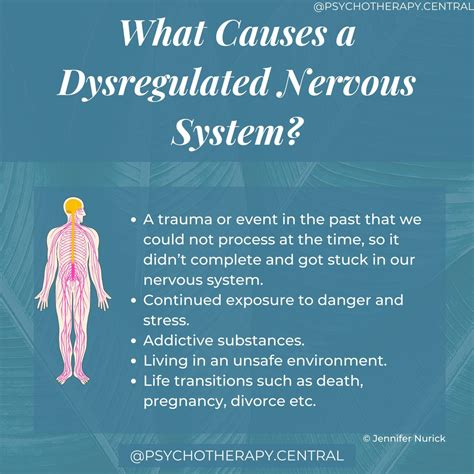 What Causes a Dysregulated Nervous System?