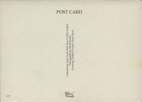 Nude Beach Pinup Sexy Woman British Origin Brunette Breasts Unused Original Vintage