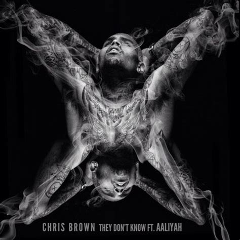 Chris Brown Reveals They Dont Know Single Cover | ThisisRnB.com