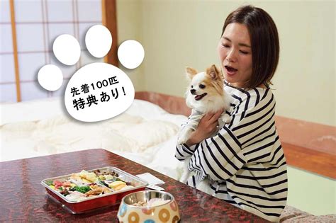 先着100匹にプレゼントも♪愛犬と貸切温泉・ドッグランで最高の思い出を作ろう！湯快わんわんリゾート片山津 ワンクォール