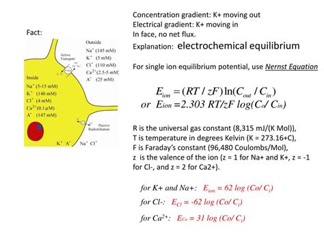 Ppt Week 2 Membrane Potential And Nernst Equation Powerpoint Presentation Id2647086