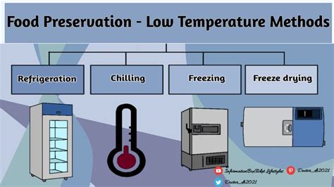 Low Temperature Treatment As A Method Of Food Preservation Food