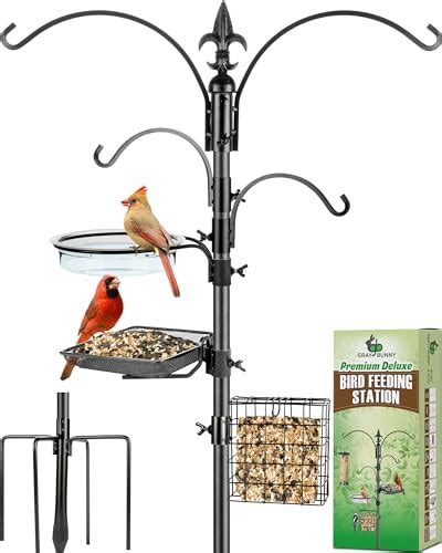 Top 10 Best Bird Feeding Stations In 2024 Reviews Buying Guide