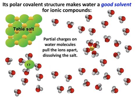 2 4 Water Chemistry Biology Libretexts