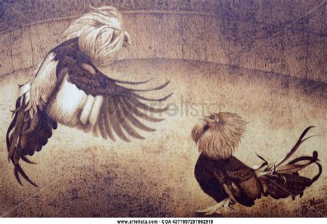 Dibujo Imagenes Gallos De Pelea Heartfeltblurbs Blogspot