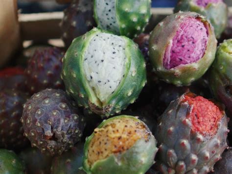 Why Pitaya (Mexican Dragon Fruit) Is So Expensive - 'Business Insider' News Summary (United ...