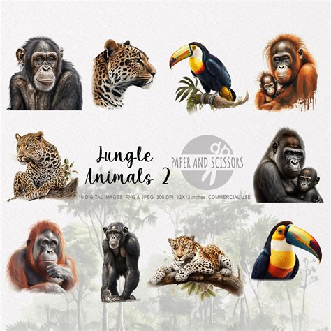 Jungle Animals Clipart, Jungle Animals PNG, Animals Illustration ...