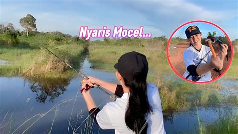 Edan Umpan Lewat Langsung Disambar Gabus Berkali Kali Mancing