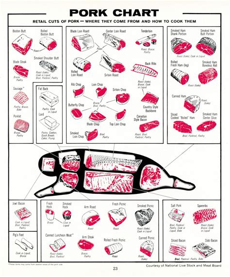 Printable Pork Cuts Chart - Printable Word Searches