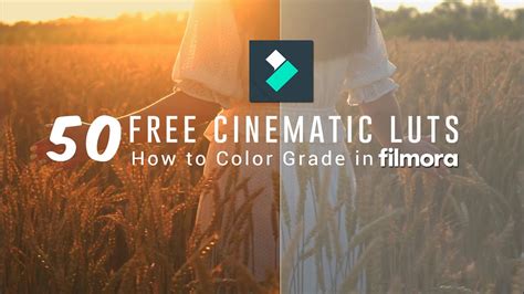 Free Cinematic Luts For Filmora How To Color Grading In