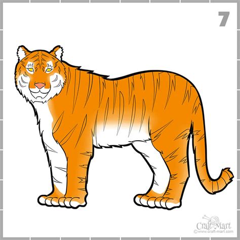 How To Create A Nice Drawing Of A Tiger For Beginners Craft Mart