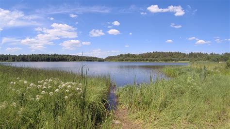 Орловское полесье - что посмотреть, где отдохнуть? | Trip32