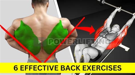 How To Build Big Back 6 Most Effective Exercises Back Workout At