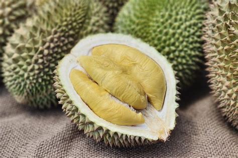 Durian Fruit Smell—What Is Durian, and What Does It Smell Like?