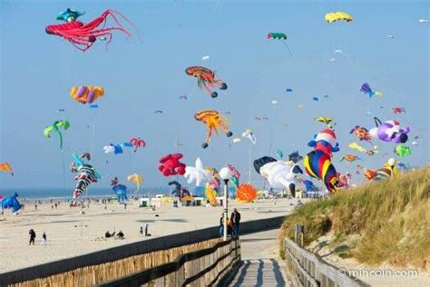 Cerf Volant Berck Cerf Volant Berck Cerf Volant Touquet Paris Plage