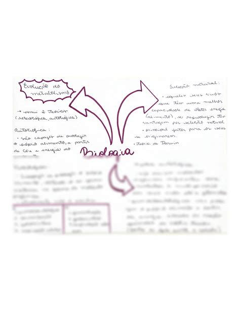 Solution Biologia Evolu Es Studypool