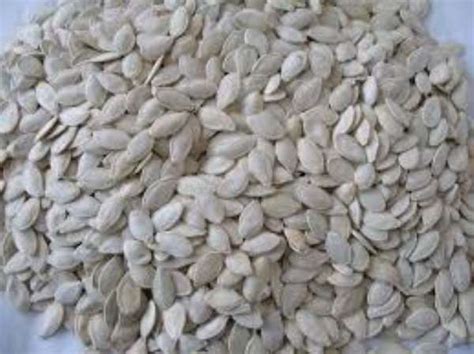 Agushi For Prostrate Health Benefits Of Agushi Pumpkin Seeds