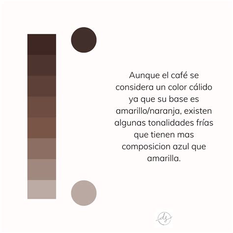 El Café De Tu Colorimetría Dey Sotelo Asesora De Imagen