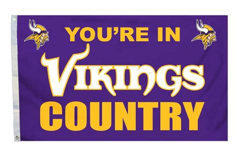 Minnesota Vikings NFL Flag 3'×5' | Fan Shop TODAY