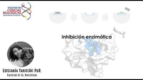 Clase B Inhibici N Enzim Tica Youtube