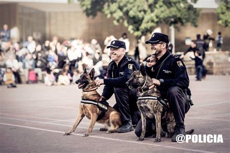 Policía Nacional On Twitter Nuestros Guías Caninos 👮‍♂️🐈👮‍♀️ 🐈siempre