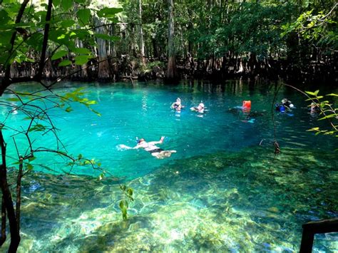 Manatee Springs State Park | Florida Hikes!