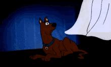 Scooby Doo Run GIFs | Tenor