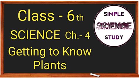 Class Science Chapter Getting To Know Plants Ncert Cbse