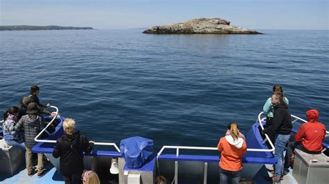 Miquelon-Langlade, the nature island | Tourism Saint-Pierre and Miquelon