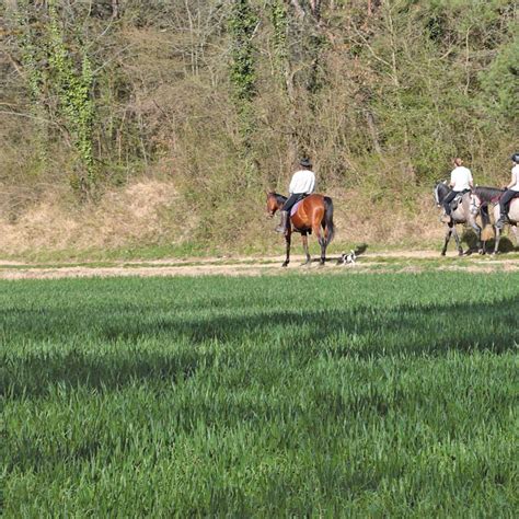 Equestrian Activities In Paris Region VisitParisRegion