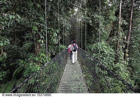 Hikers On A Suspension Bridge In The Tropical Rainforest Hikers On A