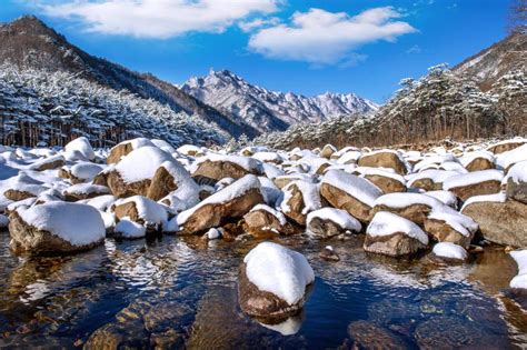 Seoraksan Mountains Is Covered By Morning Fog In Winter Korea Stock