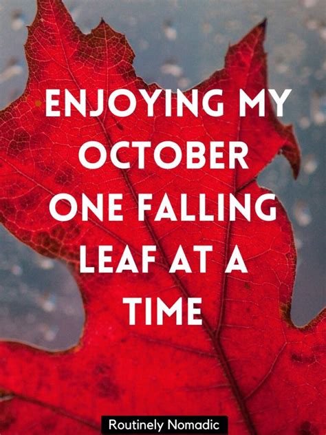 100 Best Hello October Captions For Instagram Routinely Shares