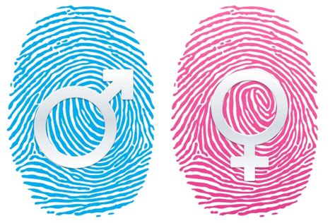 Fingerprints Yield Sex Info In The Loop