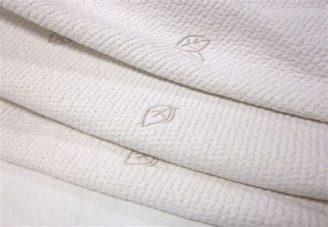 100% Organic Cotton Mattress Cover | SC41 Furniture & Mattresses